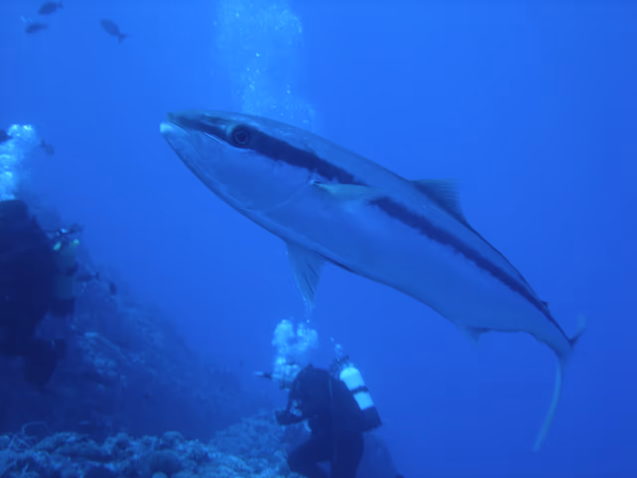 Scuba diving shipwrecks in Valparaíso