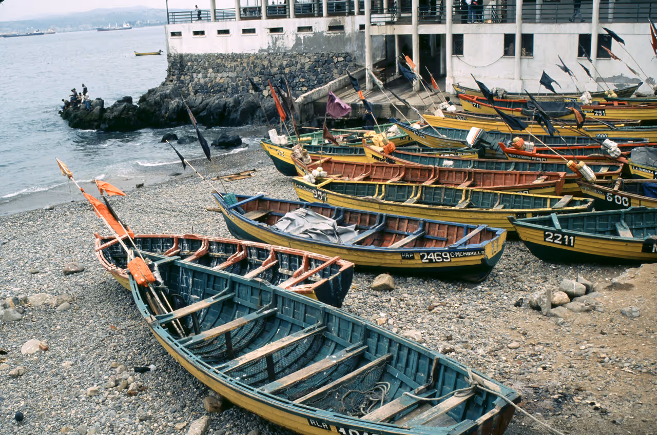 Sea kayaking in the bay in Valparaíso