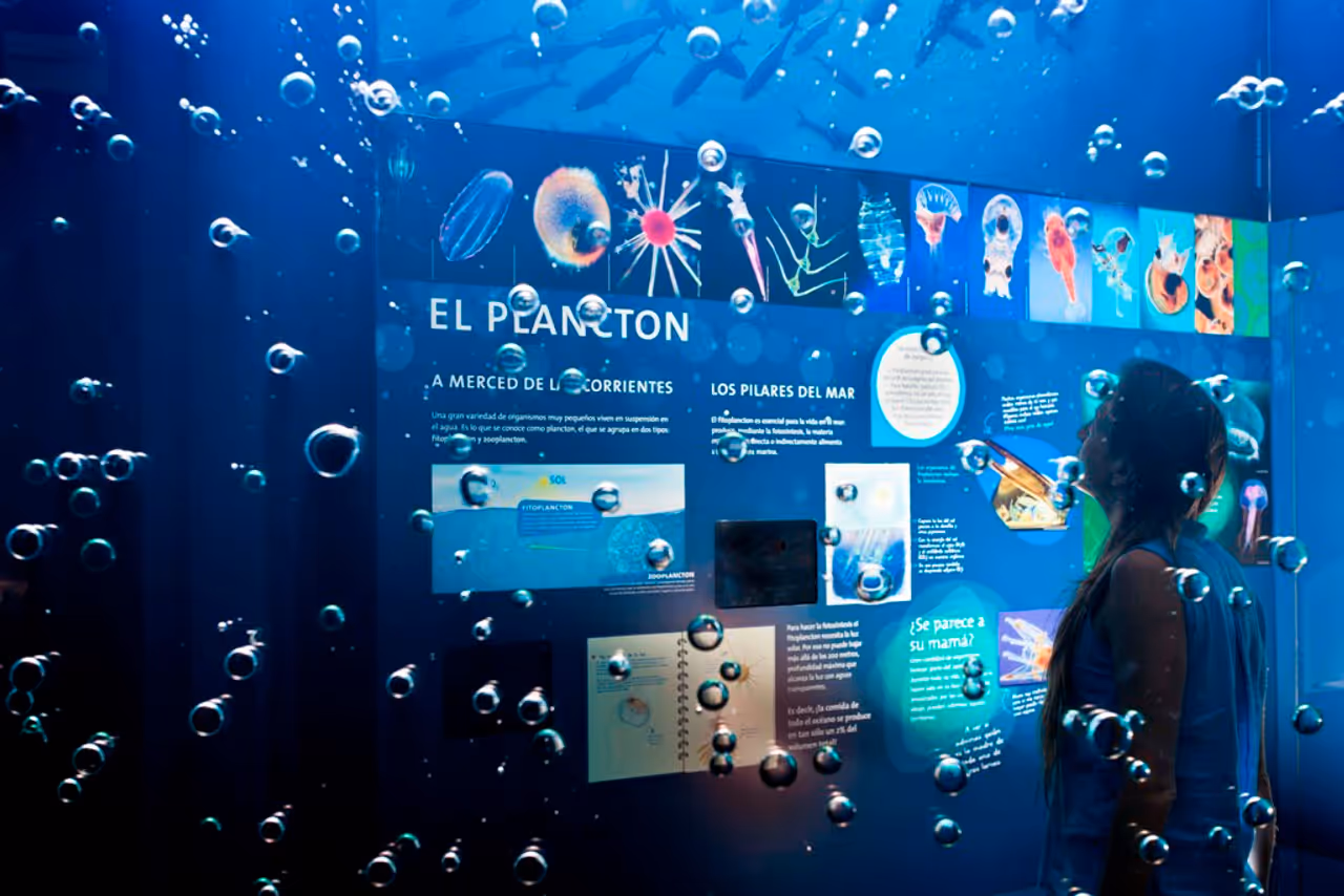 Natural history museum of in Valparaíso