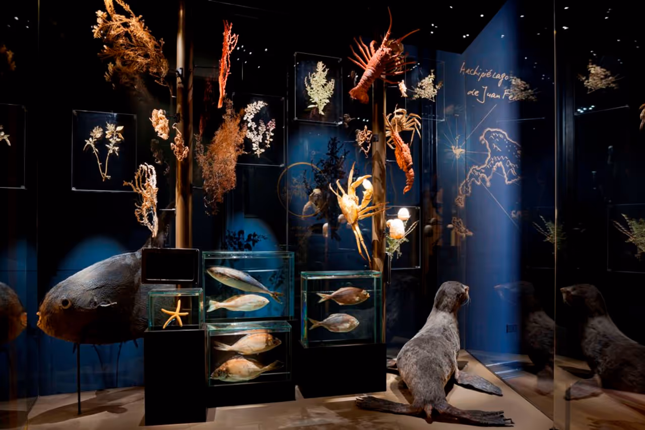 Natural history museum of in Valparaíso