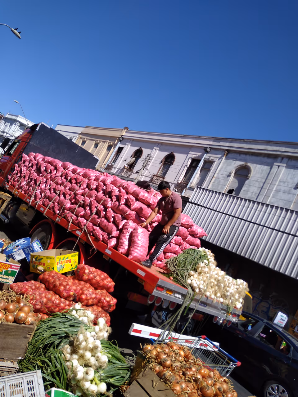 El cardonal market market in Valparaíso