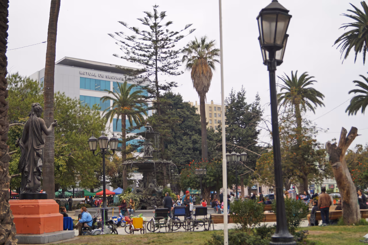 Spring highlight in Valparaíso