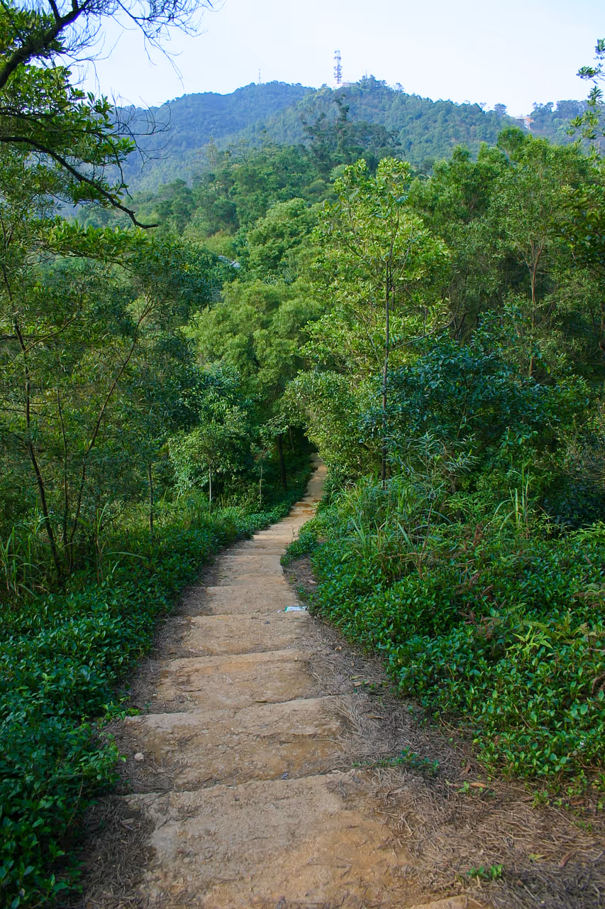 Hiking baiyun mountain trails in Guangzhou