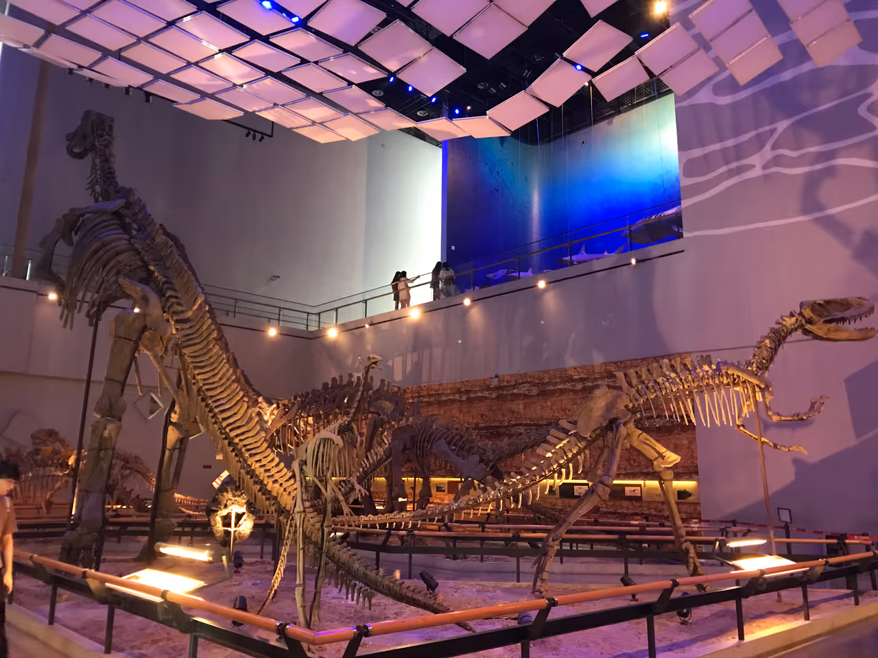 Guangdong museum in Guangzhou