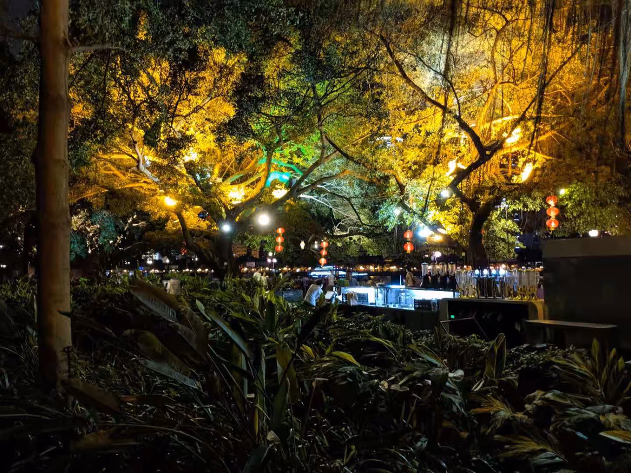Trees at night in guangzhou