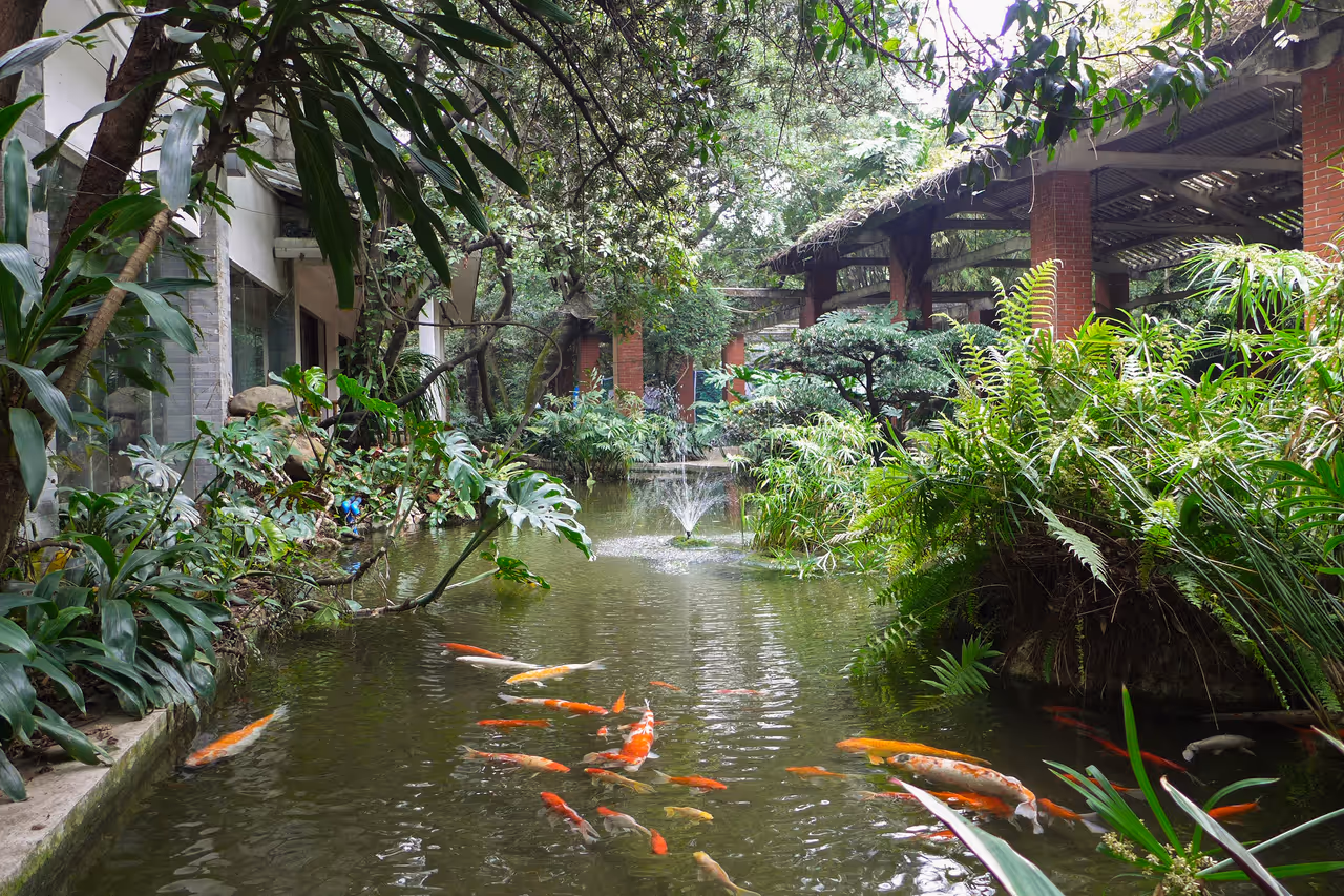 Orchid garden in Guangzhou