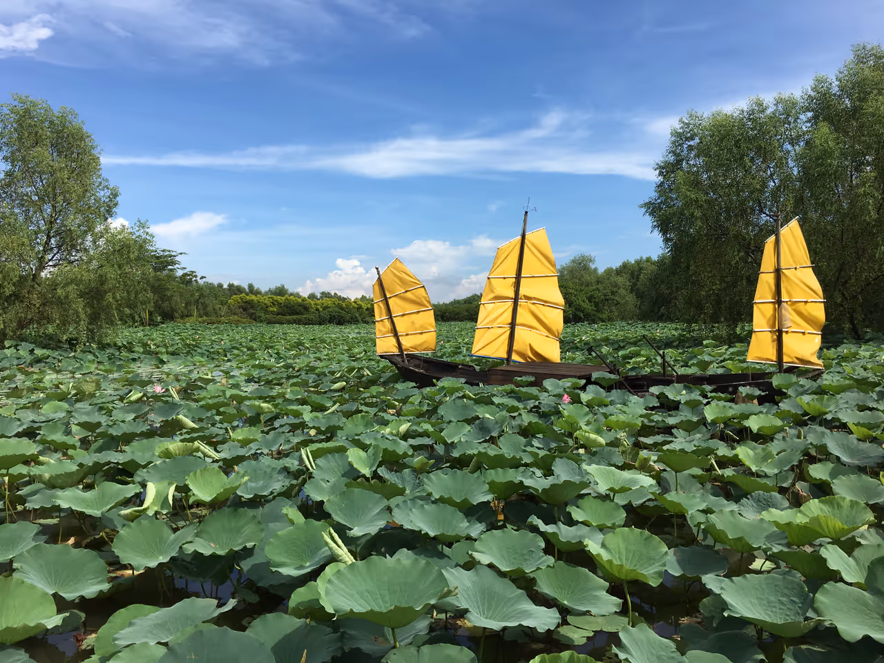 Nansha wetland park in Guangzhou
