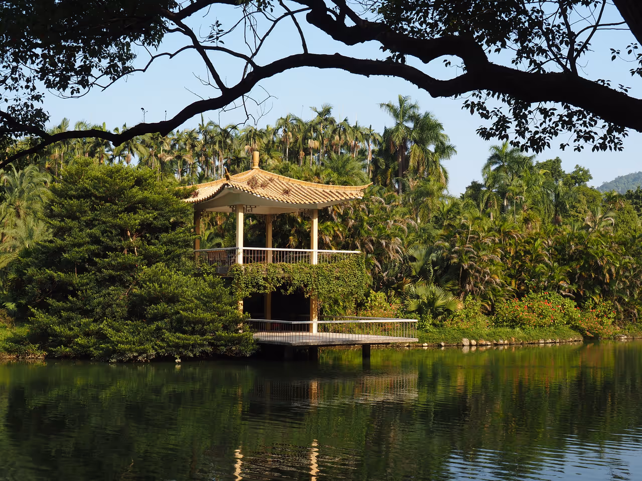 South china national botanical garden in Guangzhou