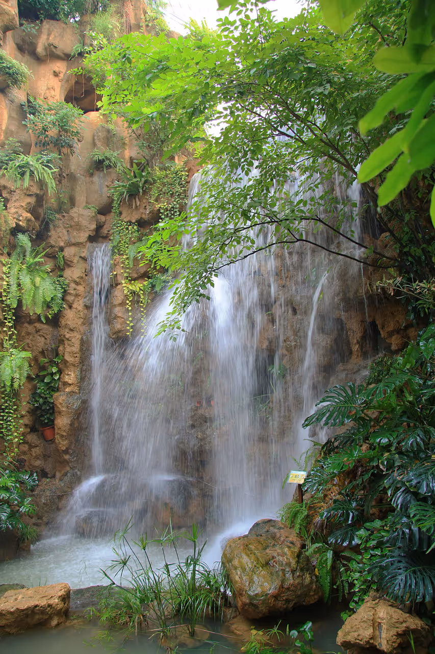 South china national botanical garden in Guangzhou