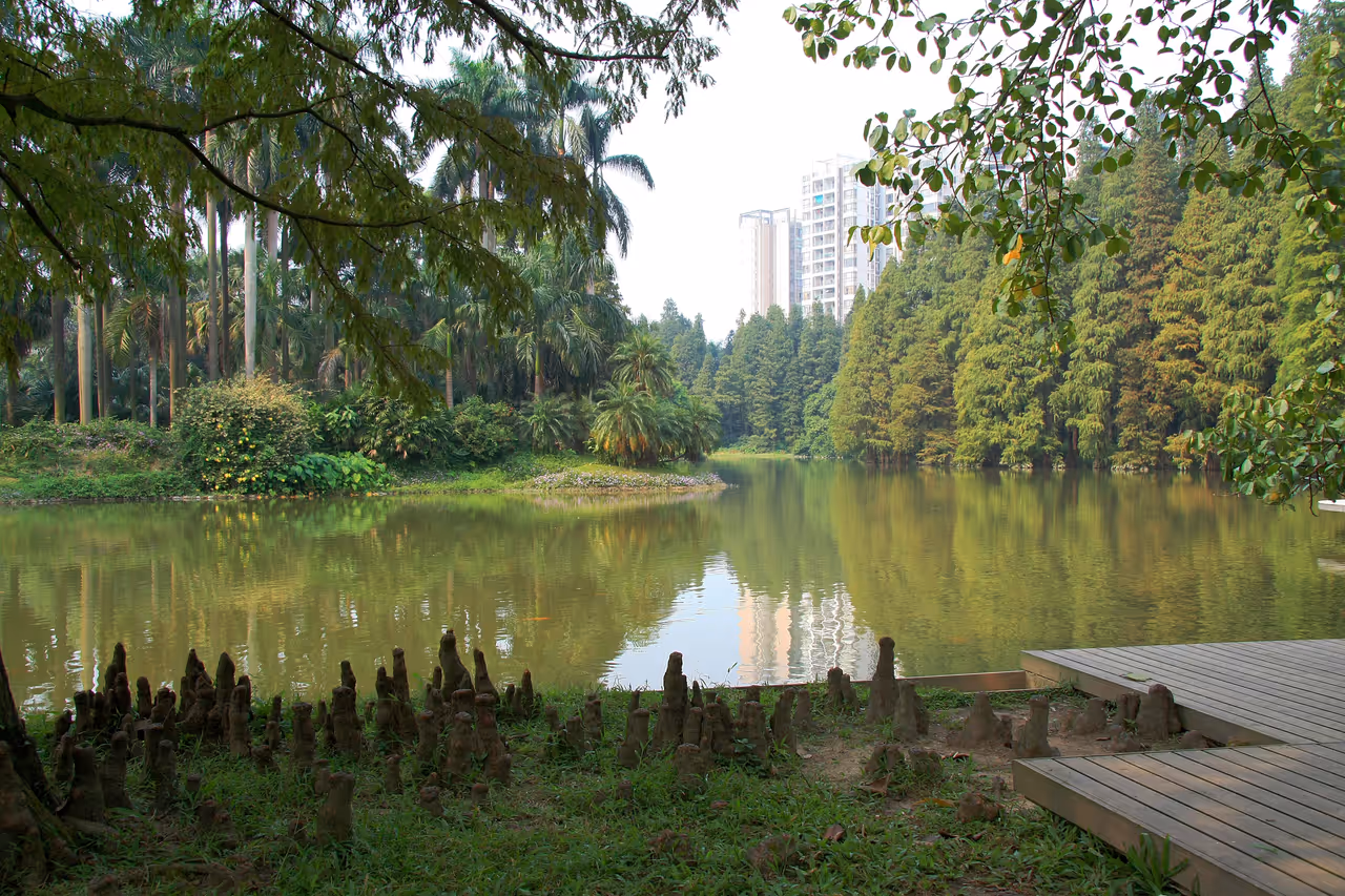 South china national botanical garden in Guangzhou