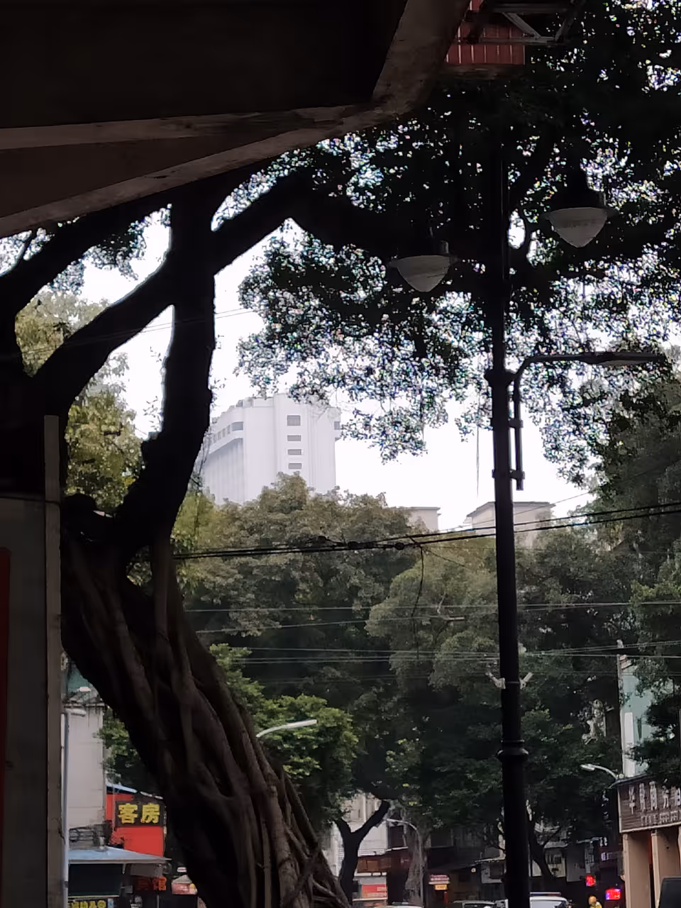 Winter highlight in Guangzhou showing Guangyong Lido Hotel