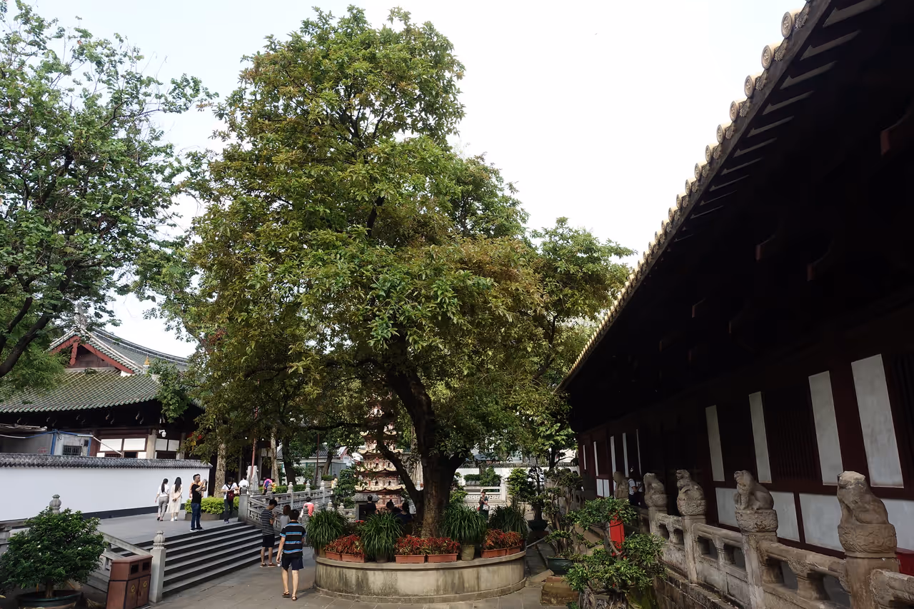 Old canton heritage tour in Guangzhou