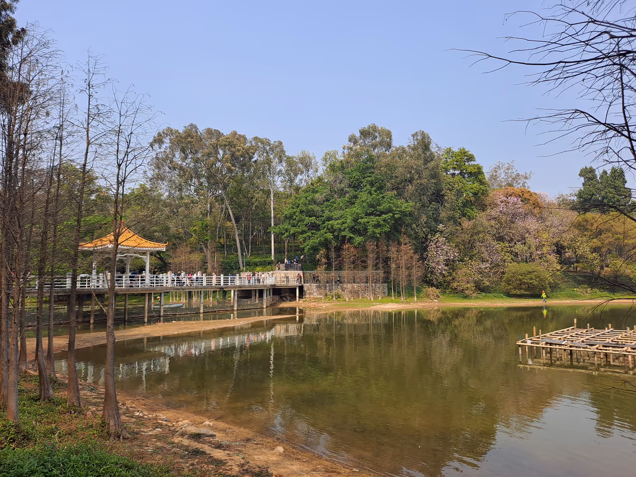 Luhu park boardwalk stroll in Guangzhou
