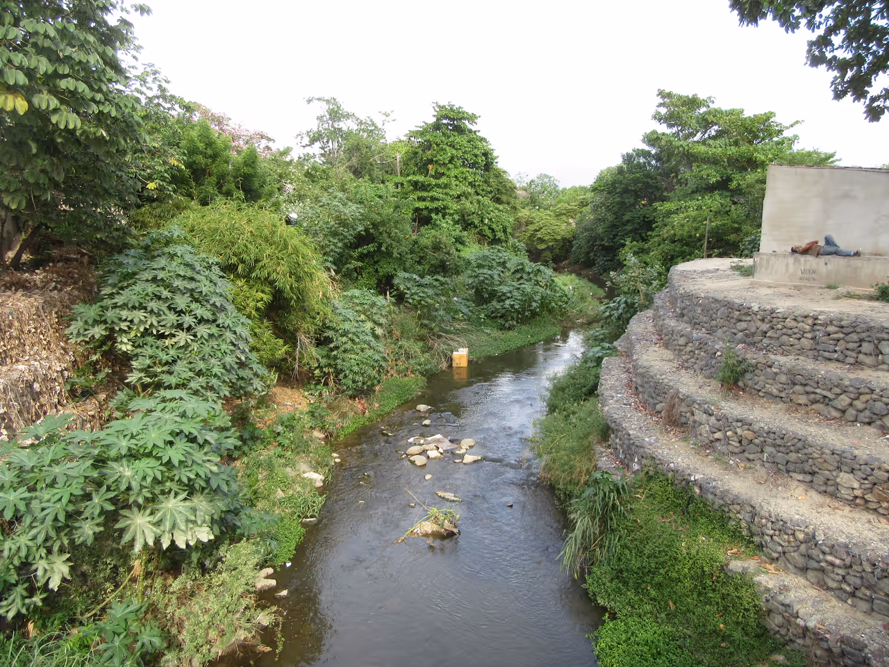 River boating excursions in Barranquilla