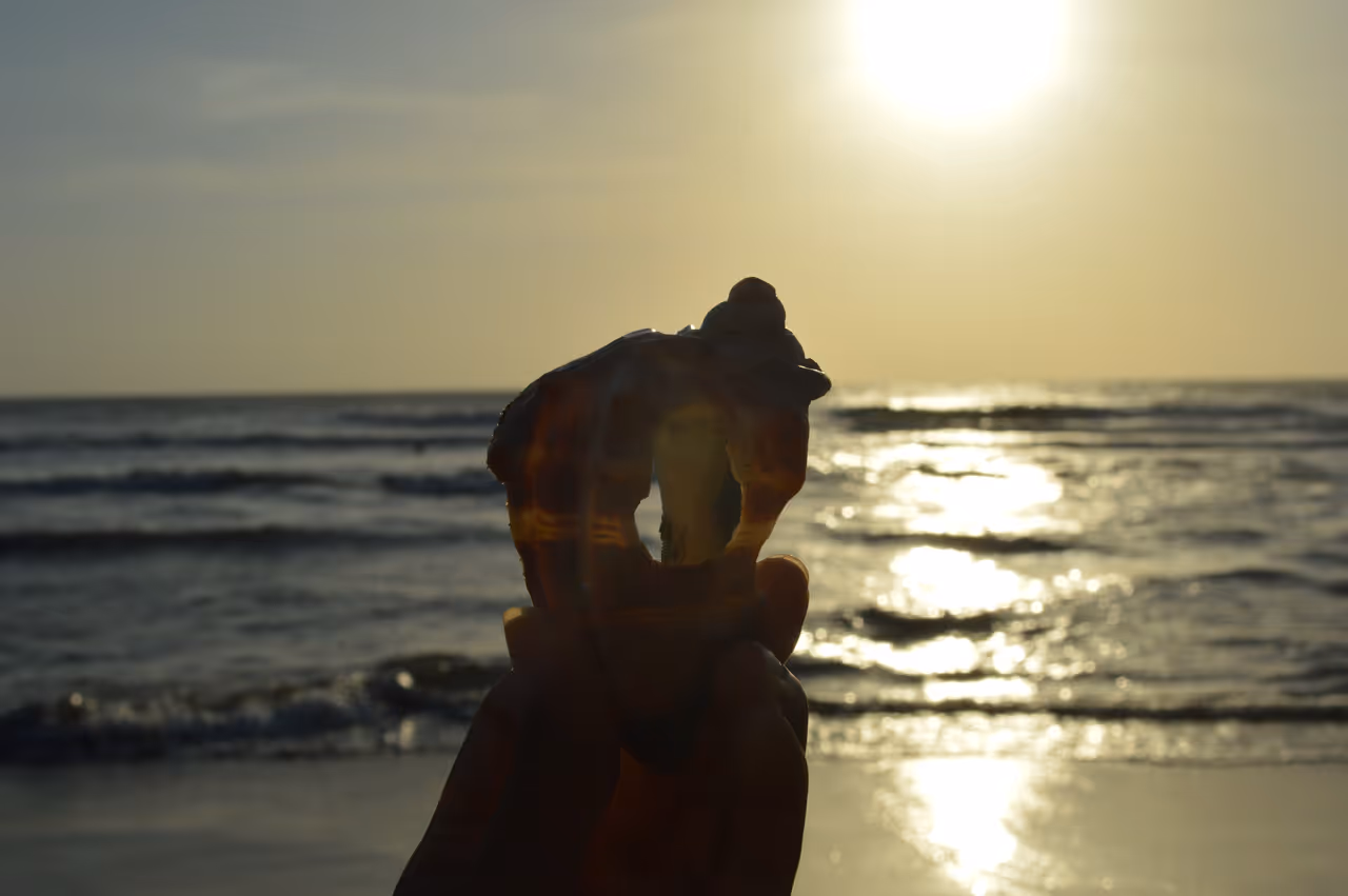 A sea shell, the beach and a beautiful sunset in Barranquilla