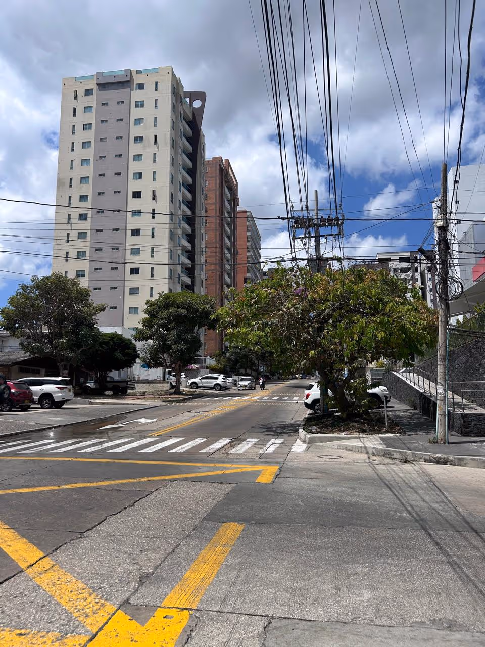 Barranquilla streets and trees