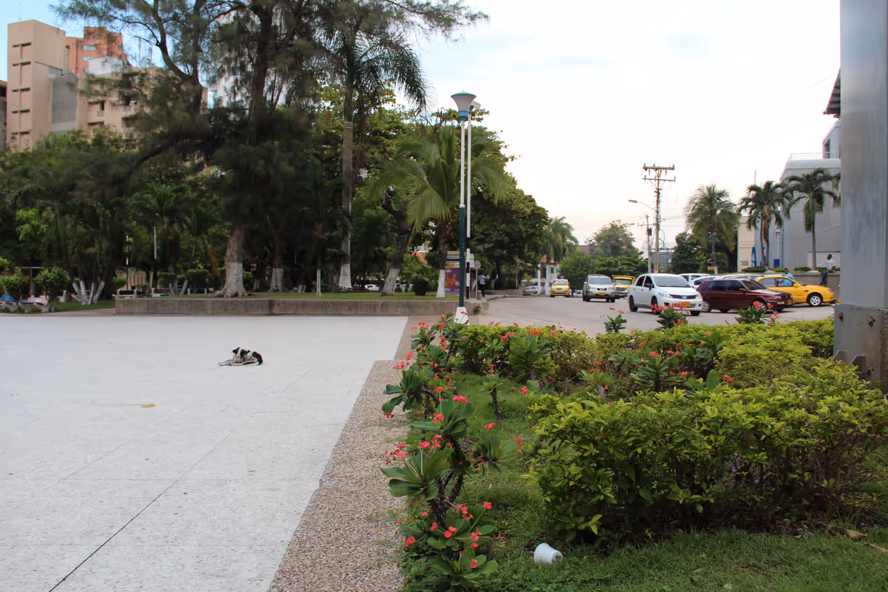 Washington park area nightlife spot in Barranquilla