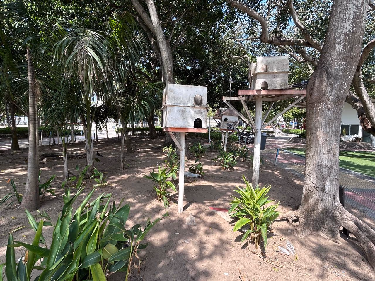 Tomás surí salcedo park in Barranquilla