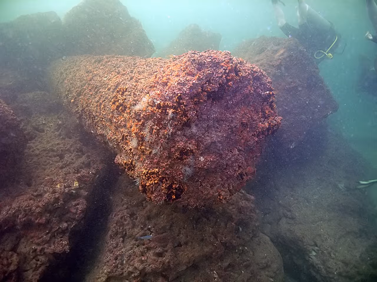 Scuba diving in Alexandria