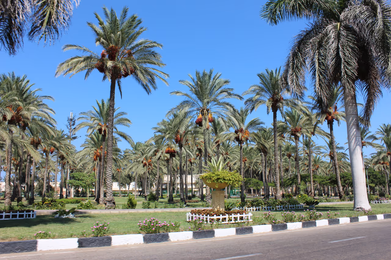 Montaza palace and royal gardens in Alexandria