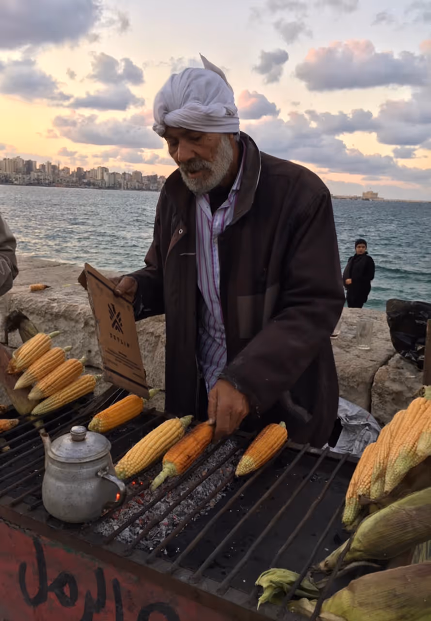 Grilled corn on the cob food in Alexandria