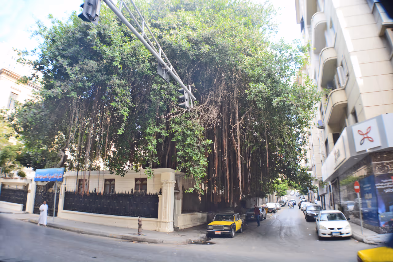 Fouad street in Alexandria