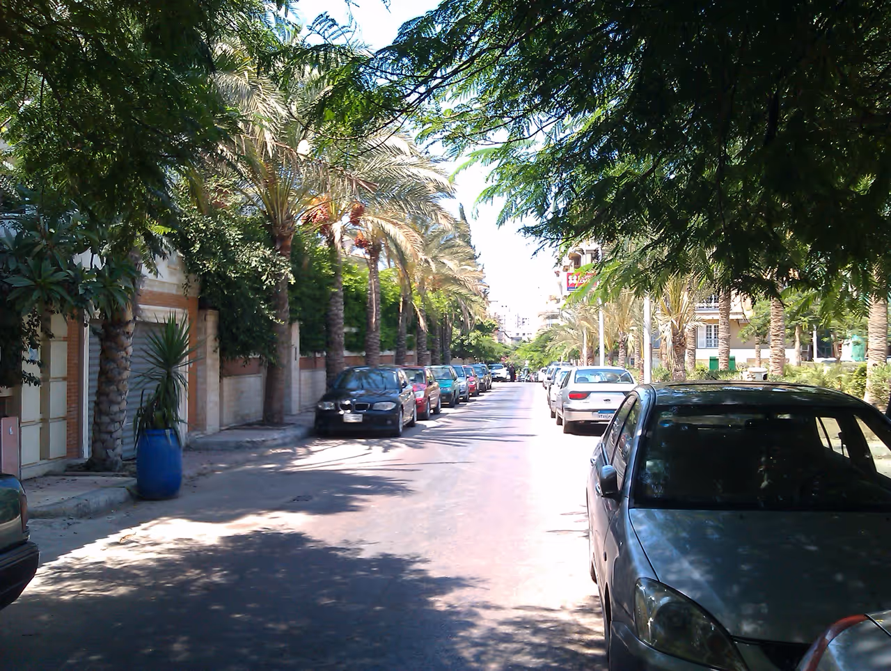 Kafr abdou nightlife spot in Alexandria
