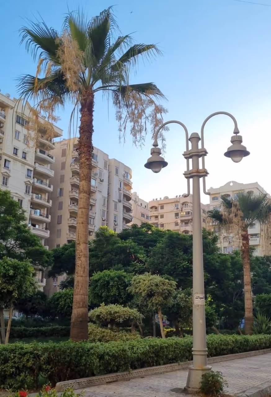 Kafr abdou nightlife spot in Alexandria