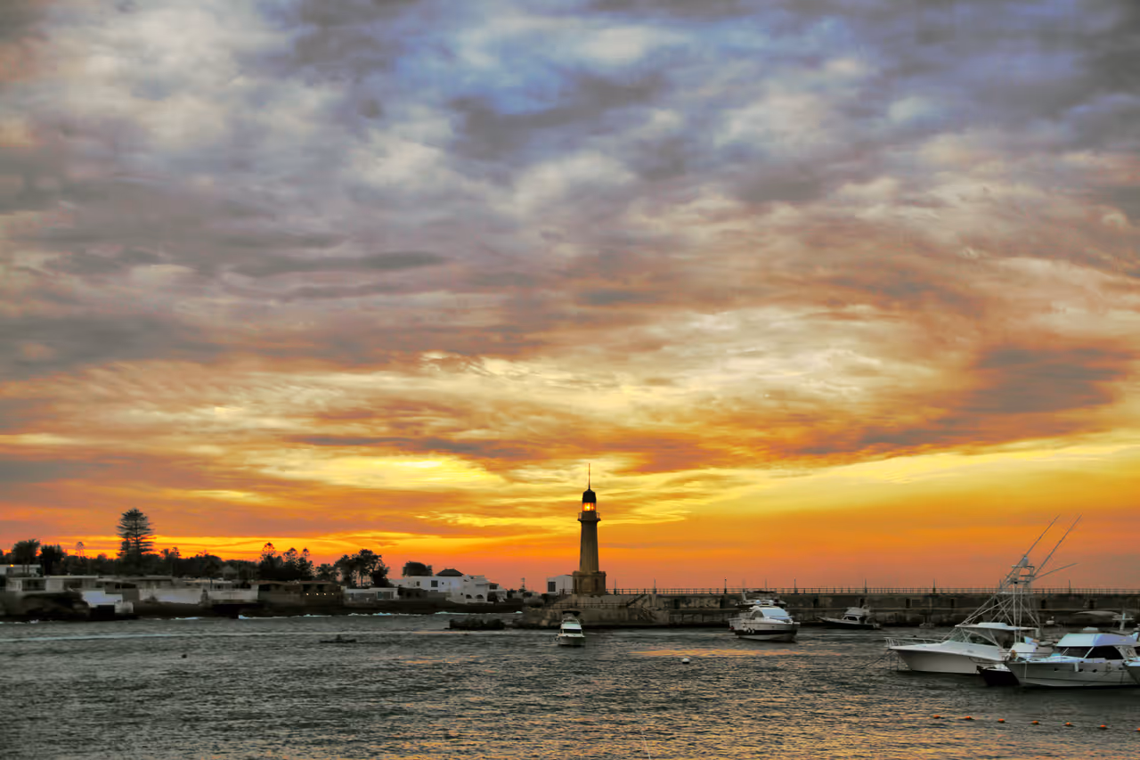 Winter highlight in Alexandria