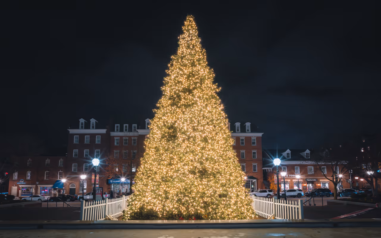Winter highlight in Alexandria