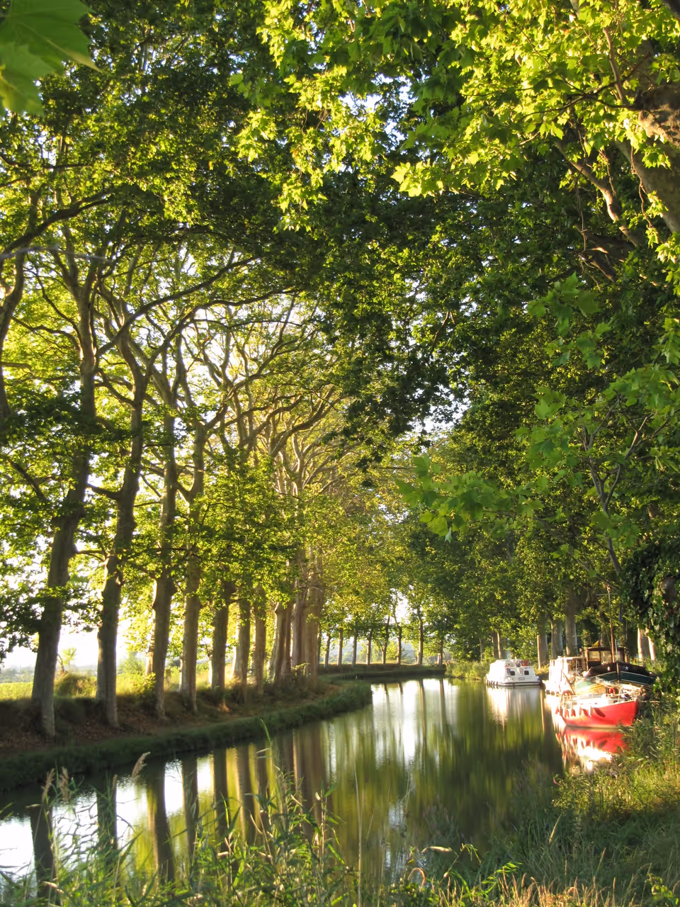 Cycling the canal du midi, Carcassonne