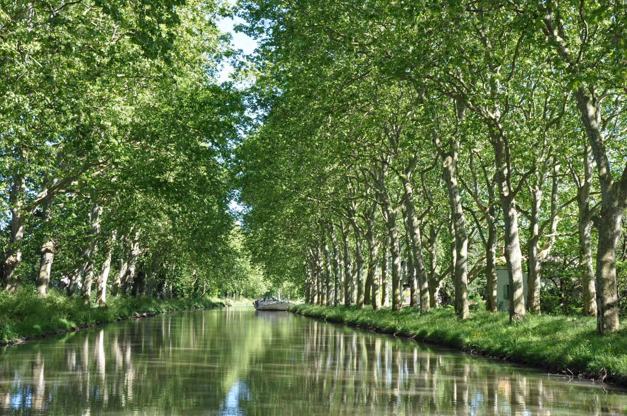 Scenic tree-lined canal pathway featuring a boat in Carcassonne