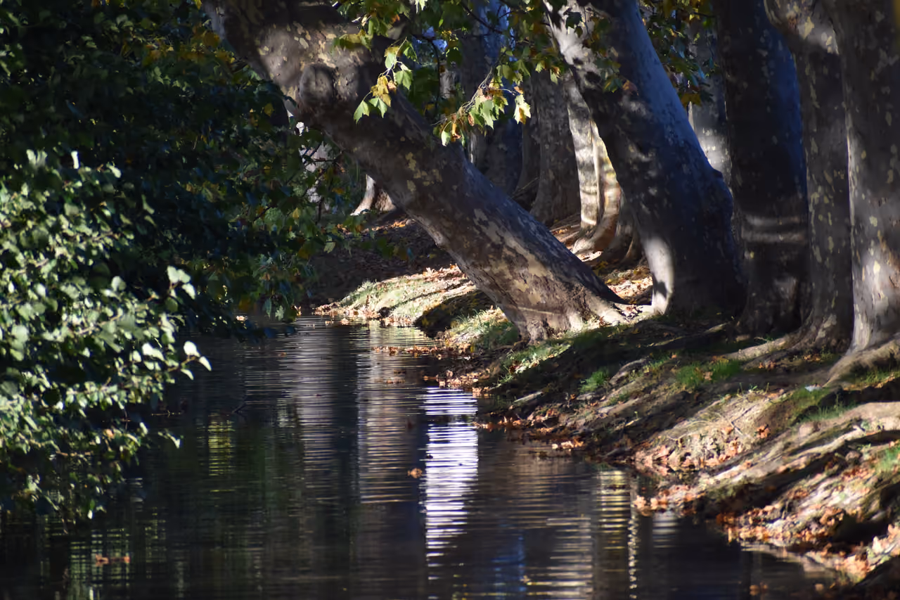 Walking the aude riverbanks free activity, Carcassonne