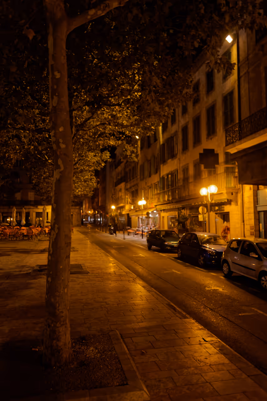 Nighttime view of a cobbled street lit by streetlights lined with historic buildings and trees