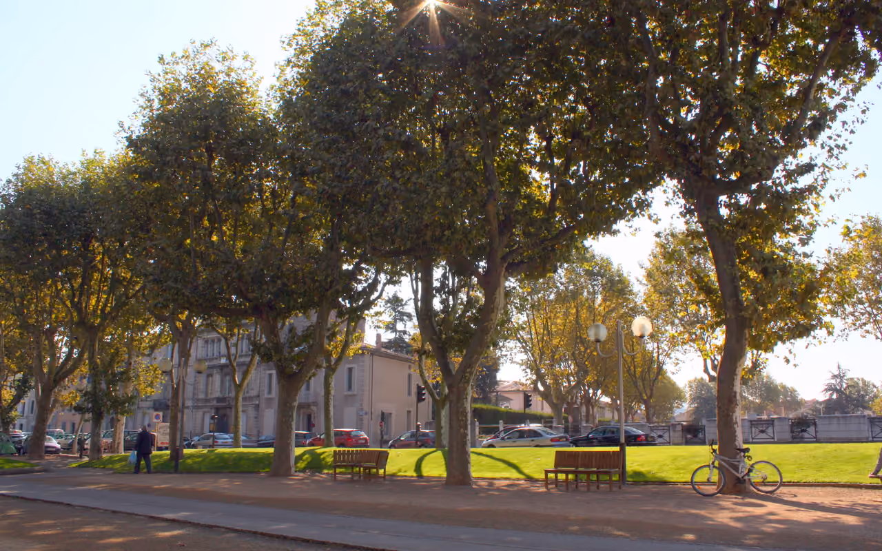 Autumn highlight, Carcassonne