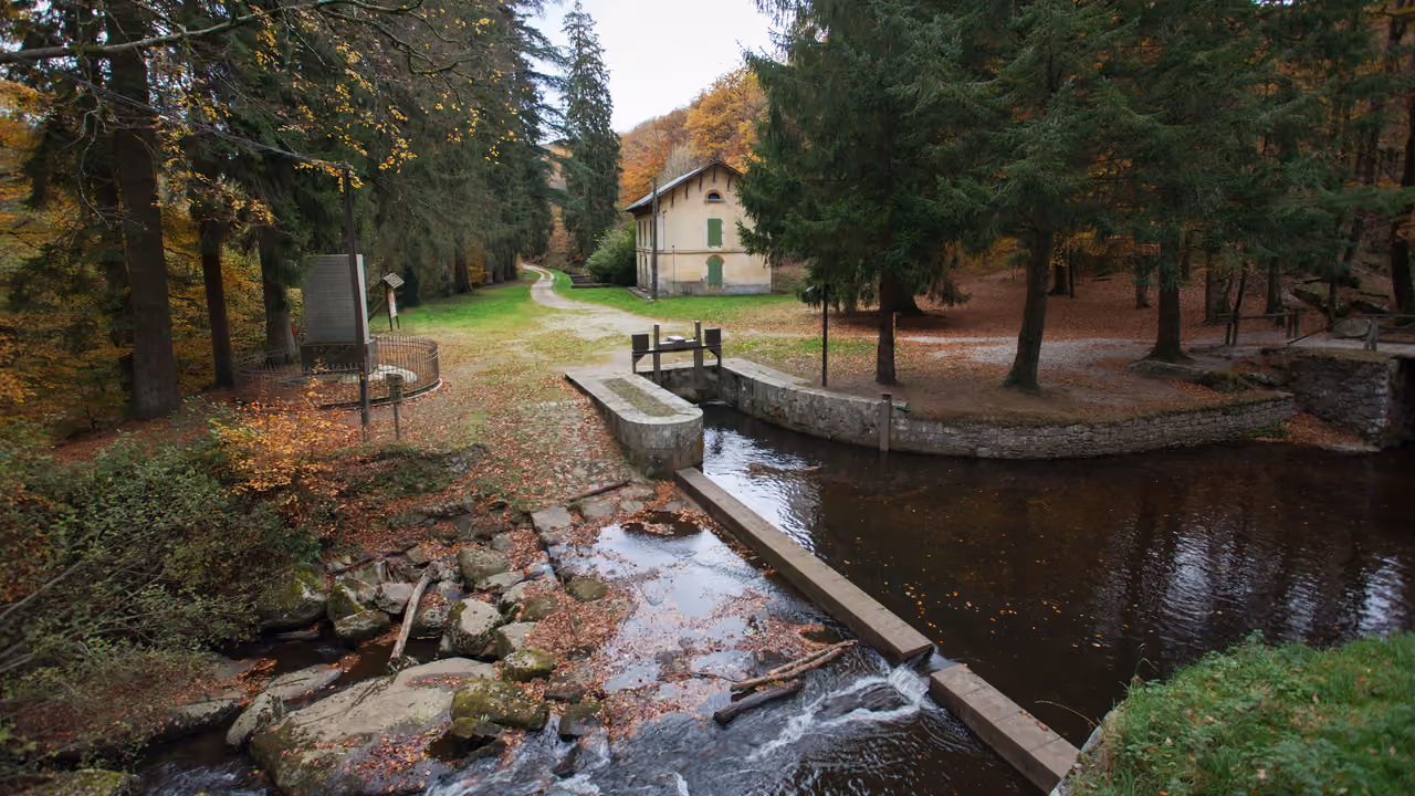 Scenic view of the Prise d'Alzeau water intake and historical channel surrounded by autumn forest trees