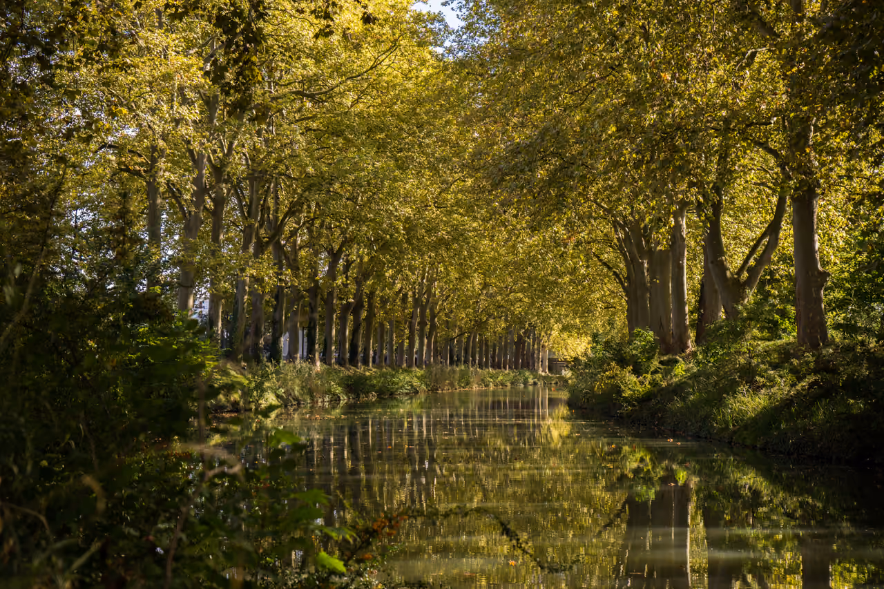 Scenic Canal du Midi waterway lined with lush green plane trees
