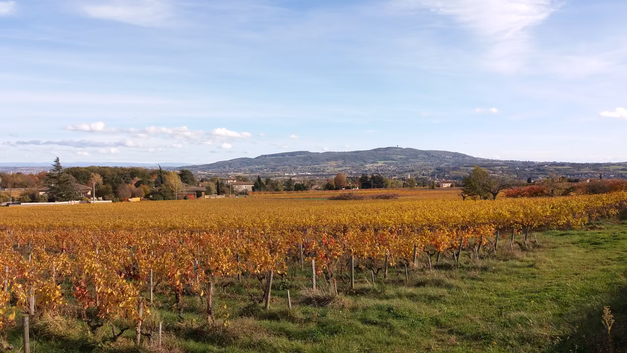 Hiking the monts d'or, Lyon
