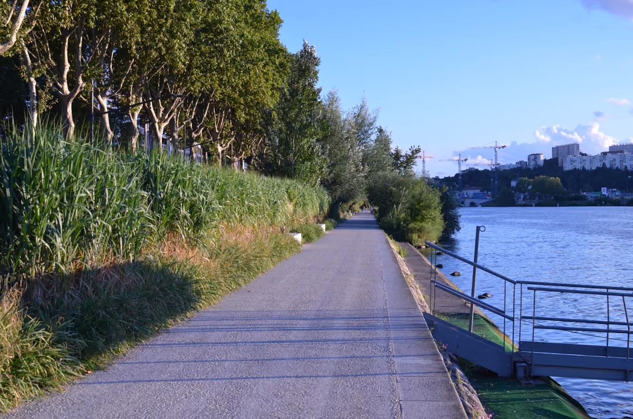Paved riverside path along the Rhone at Avenue General Leclerc with green reeds and city skyline in Lyon