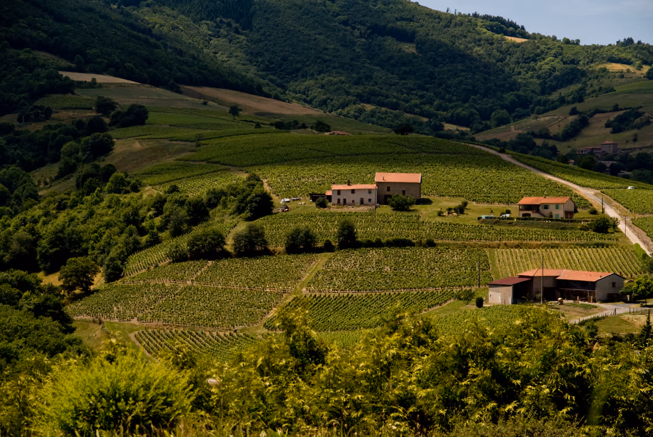 Rolling green vineyards and traditional stone houses in the Beaujolais wine region