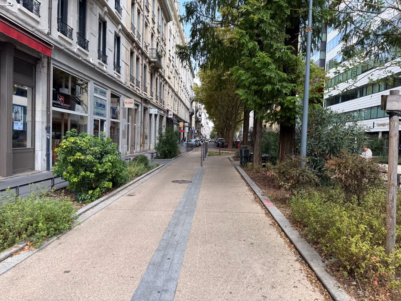 A scenic, tree-lined pedestrian pathway along Boulevard des Brotteaux with classic European architecture and shops