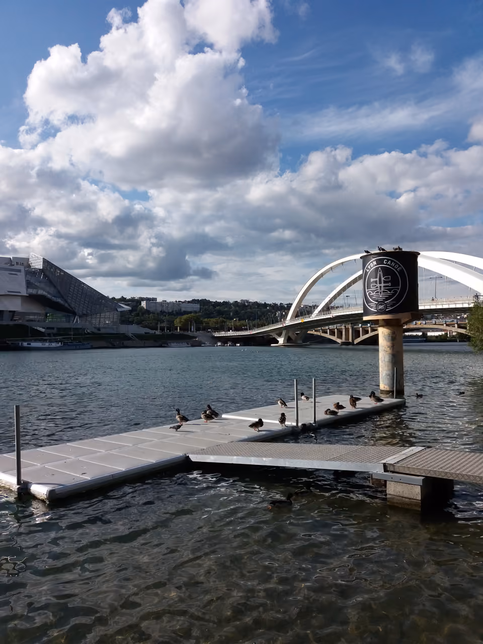 Floating canoe club pontoon on the river near a modern bridge with ducks resting on the deck