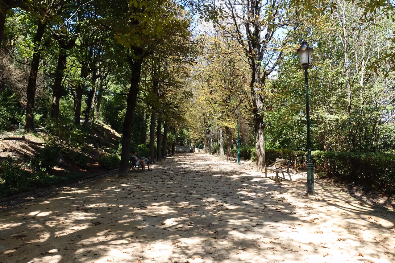 Heights park, Lyon