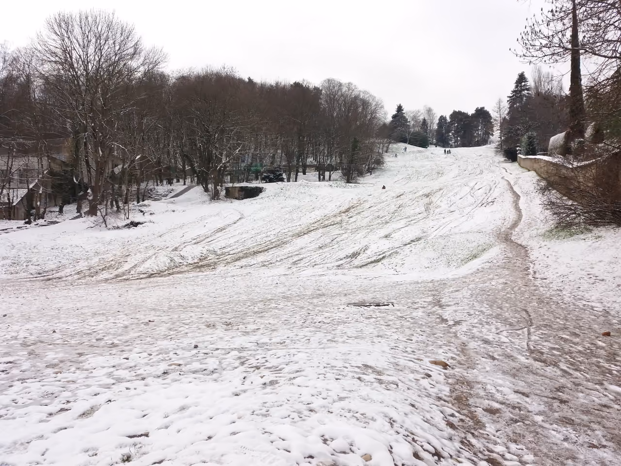 Snow-covered ski slope and winter walking path surrounded by bare trees