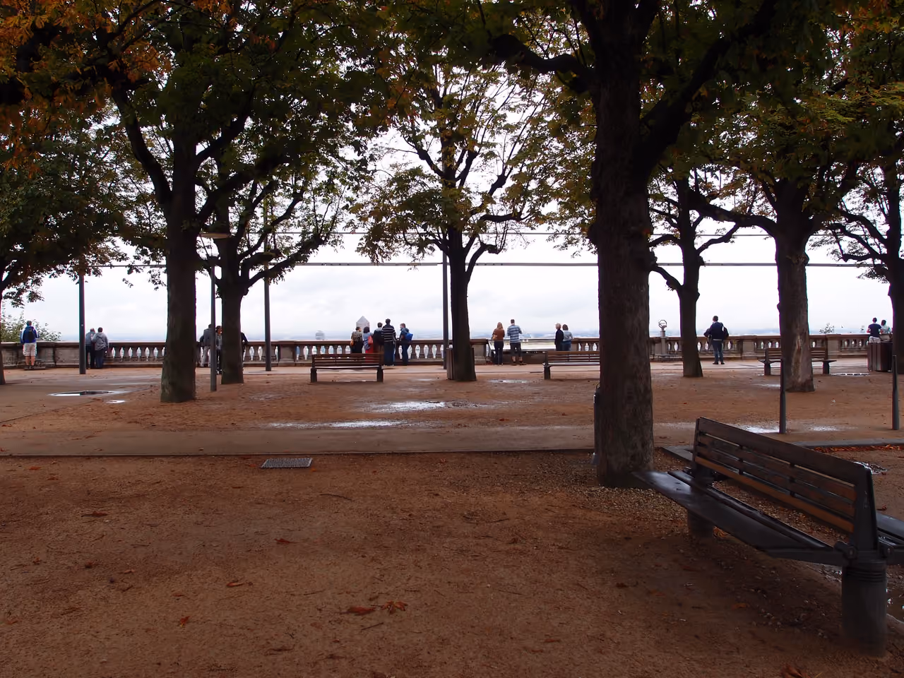Scenic esplanade with wooden benches and trees overlooking a viewpoint