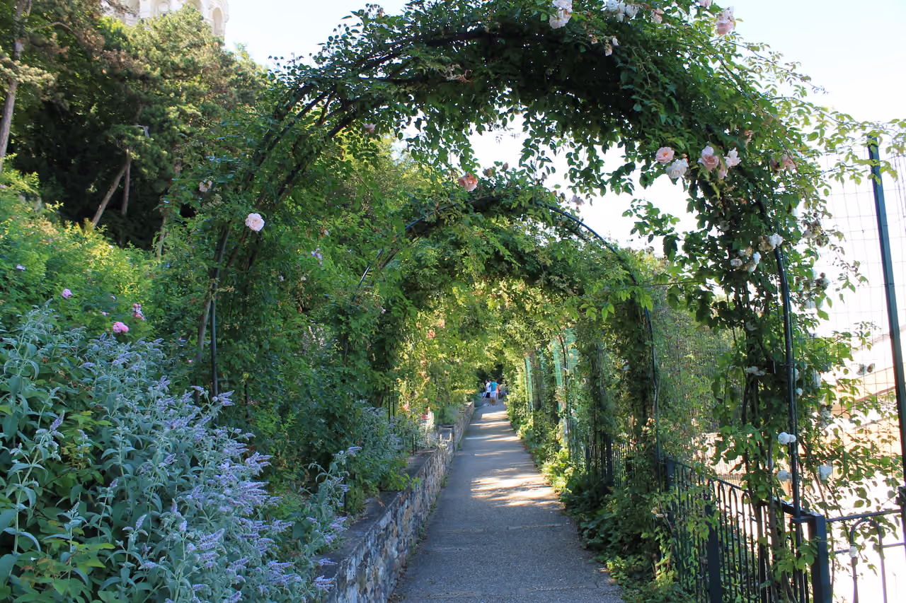 Lush green arbour covered with pink climbing roses over a stone pathway in Jardin du Rosaire