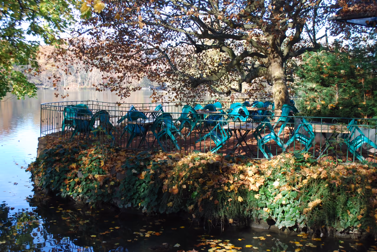 An outdoor cafe terrace with green metal chairs and tables under a large autumn tree overlooking a scenic lake