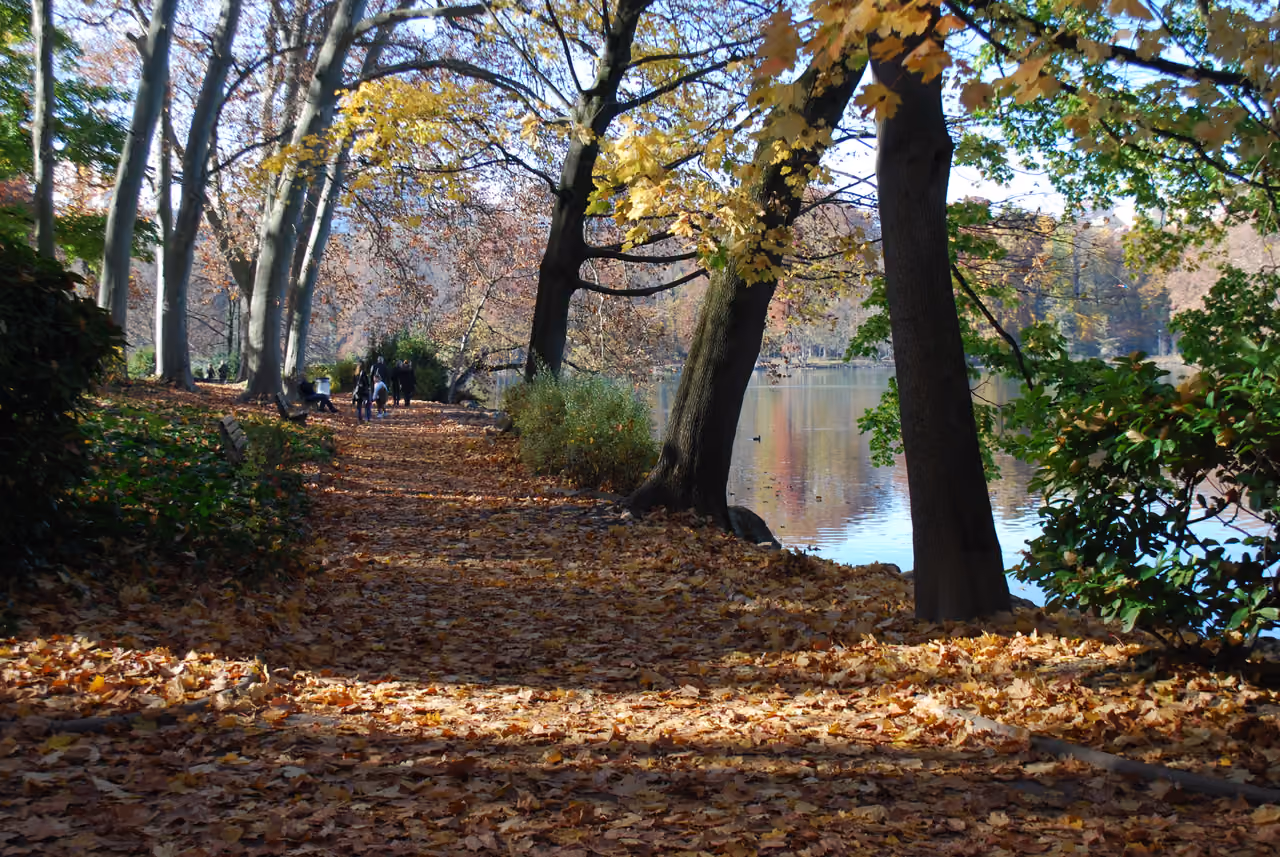 Autumn pathway covered in fallen leaves next to a lake at Parc de la Tete d'Or