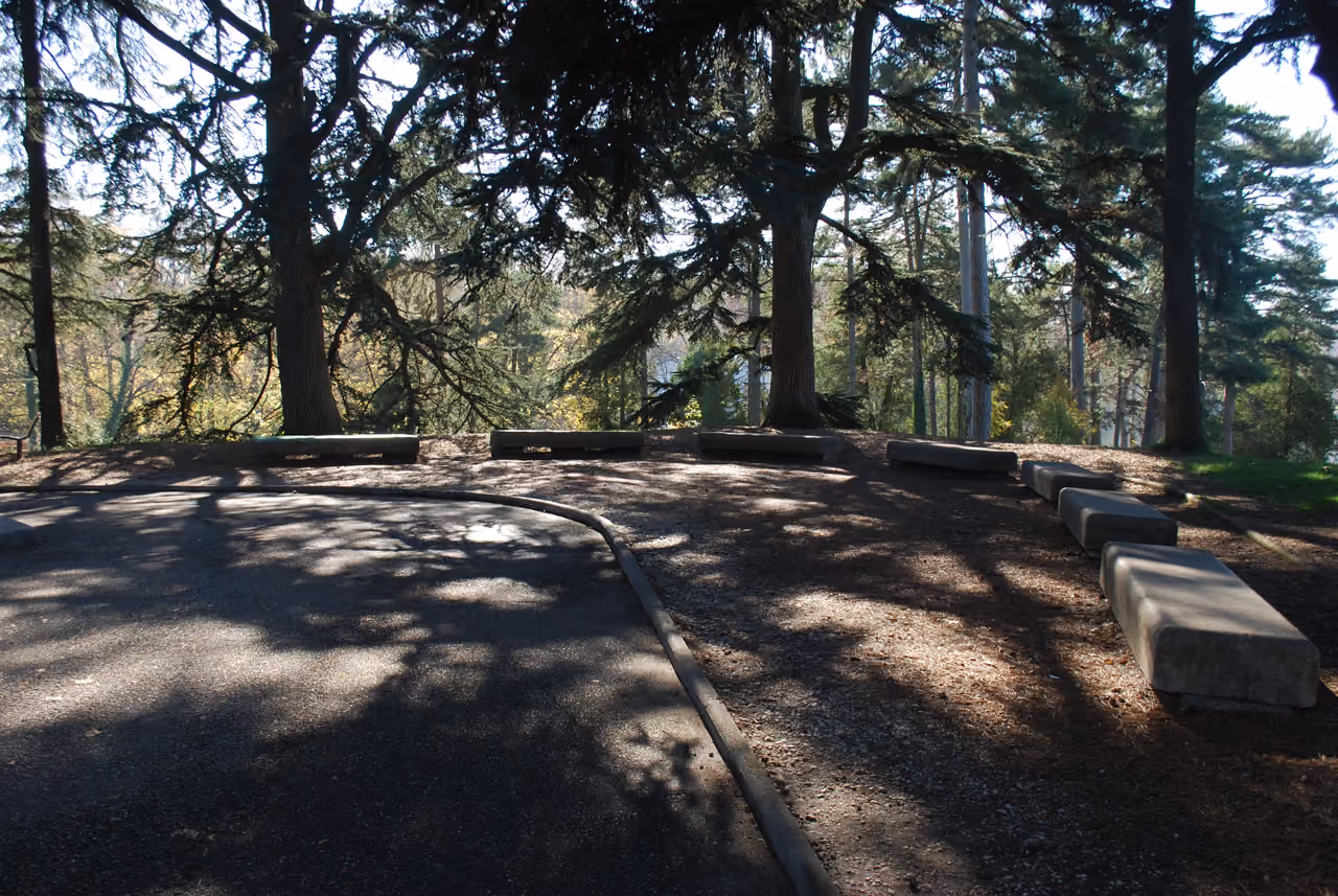Stone benches under large cedar trees in a park