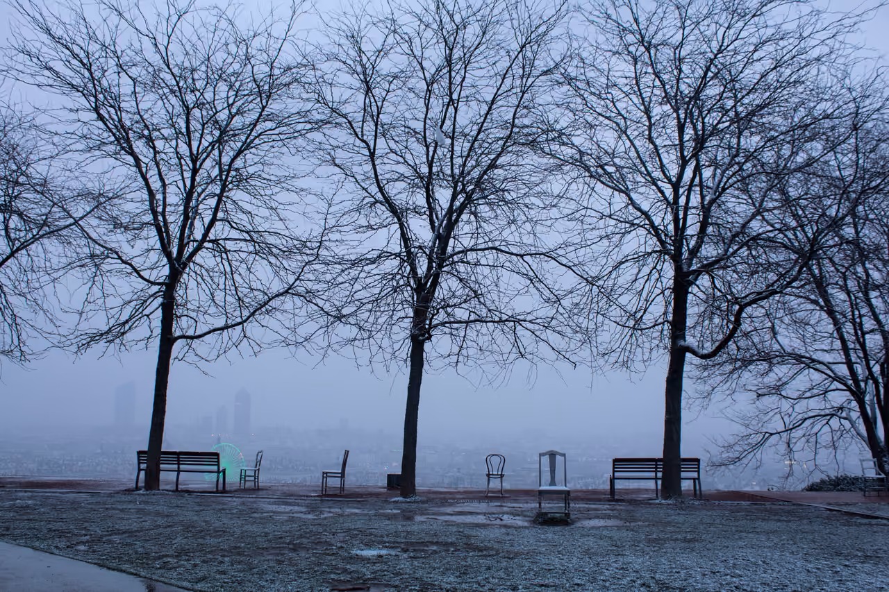 Winter view of trees and park benches looking out over a misty cityscape